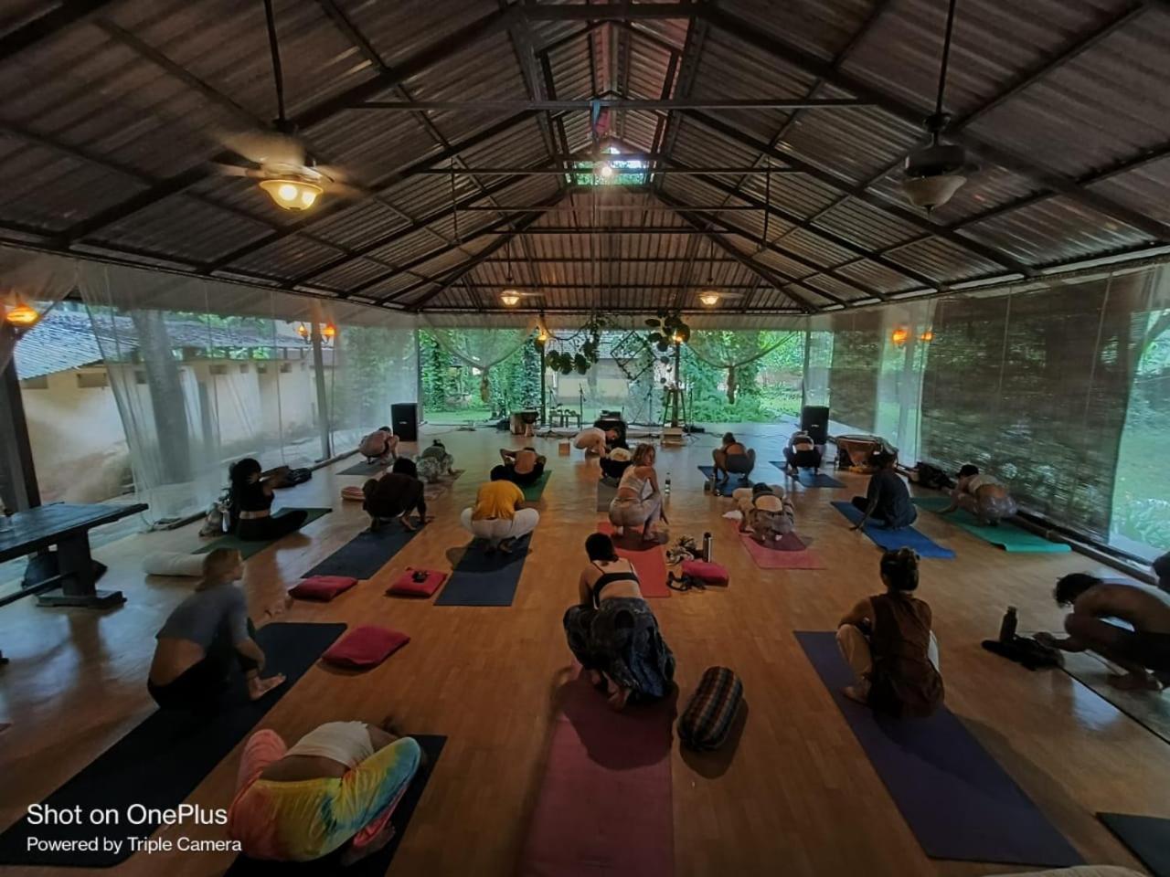 Satori Wellness Cottages I Yoga, Sauna, Ice Bath, Holistic Therapies & More Mandrem Exterior photo